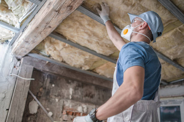 Best Insulation Contractors for Homes  in La Cygne, KS