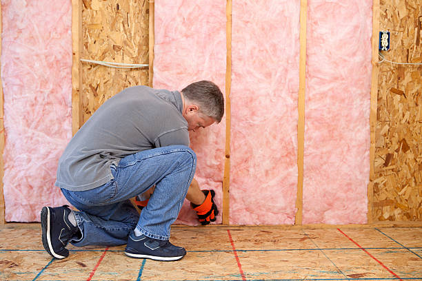 Professional Insulation Contractor in La Cygne, KS