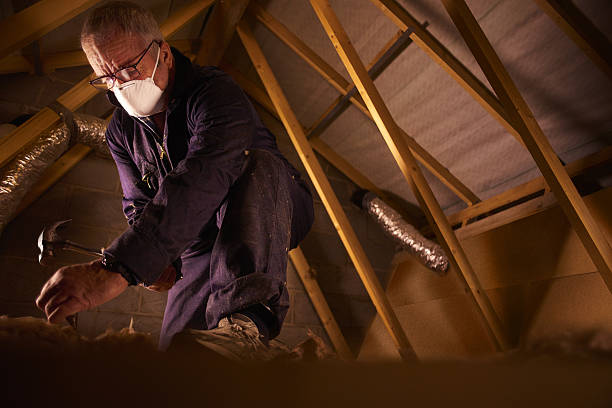 Best Garage Insulation Installation  in La Cygne, KS